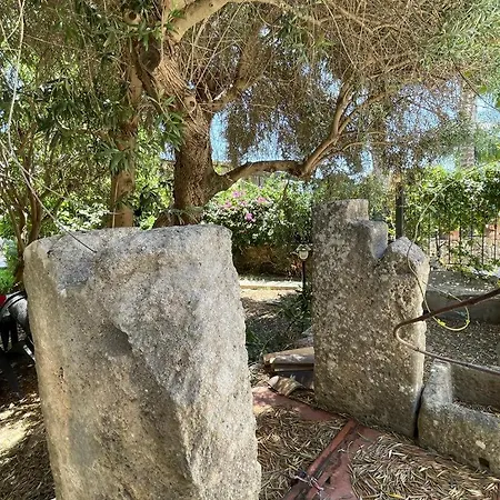 מלון דירות Le Al Quadrato סירקוזה