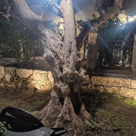מלון דירות Le Al Quadrato סירקוזה